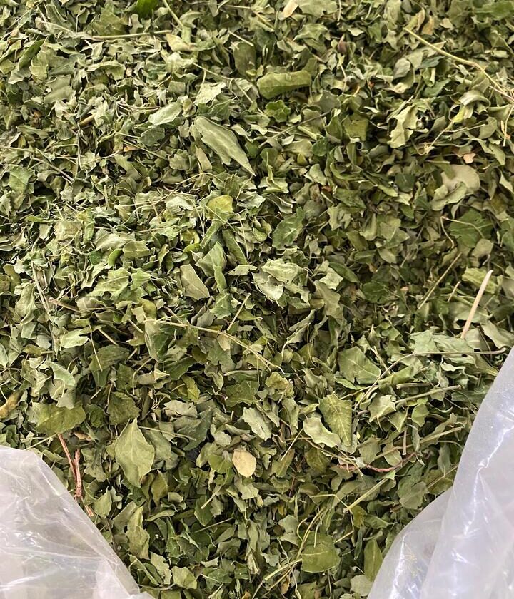 Dried Moringa Leaves